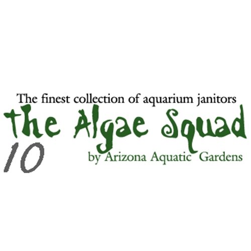 The Algae Squad10