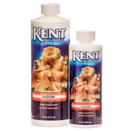 Kent Iodine for Crustaceans