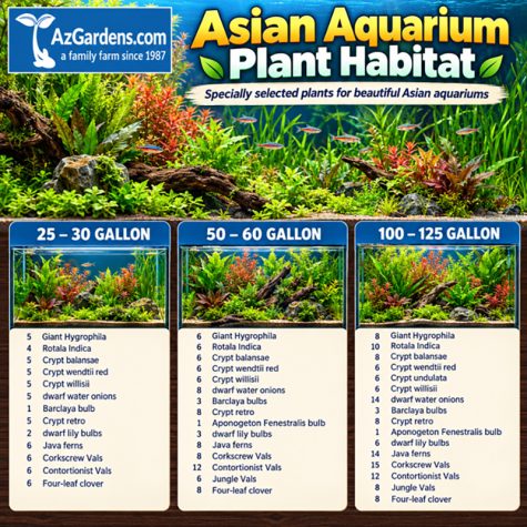 Asian Aquarium Plant Habitat