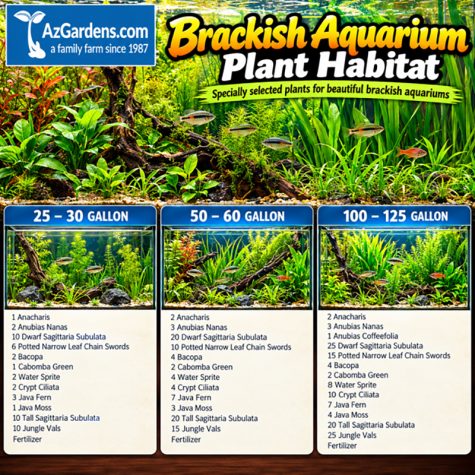 Brackish Aquarium Plant Habitat