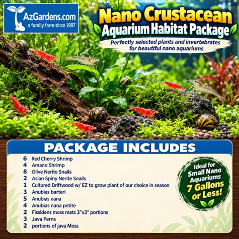 Nano Crustacean Aquarium Habitat Package
