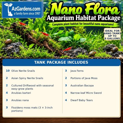 Nano Flora  Aquarium Habitat Package