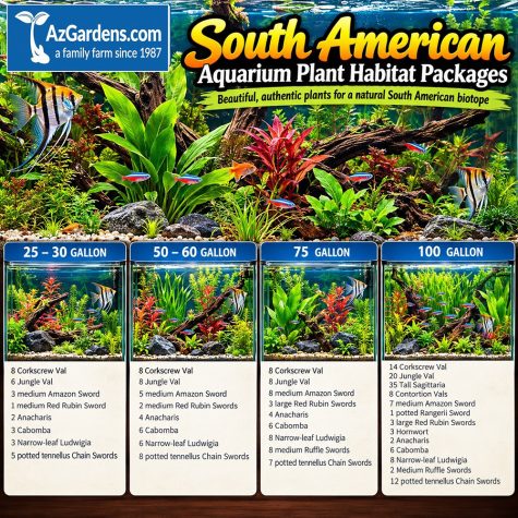 South American Aquarium Plant Habitat Packages