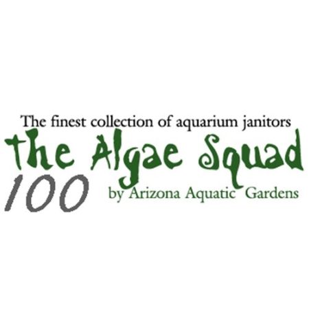 The Algae Squad100