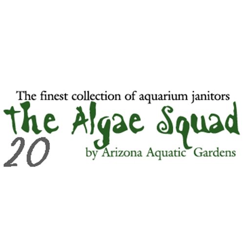 The Algae Squad20