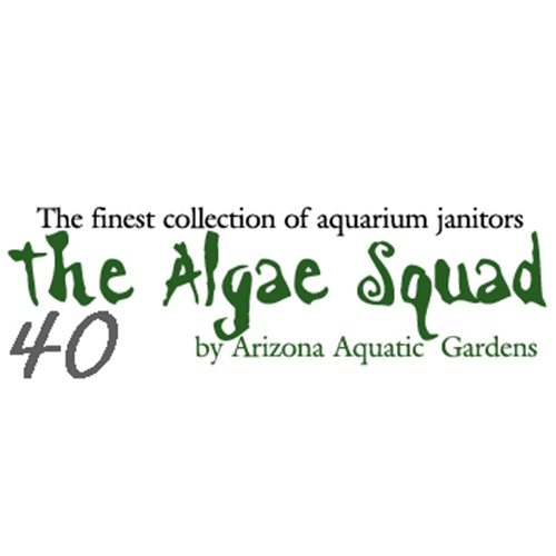 The Algae Squad40