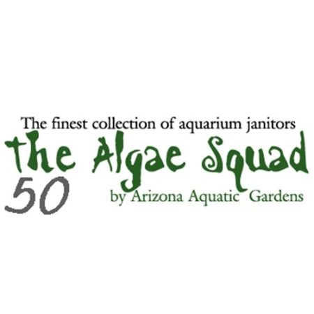 The Algae Squad50