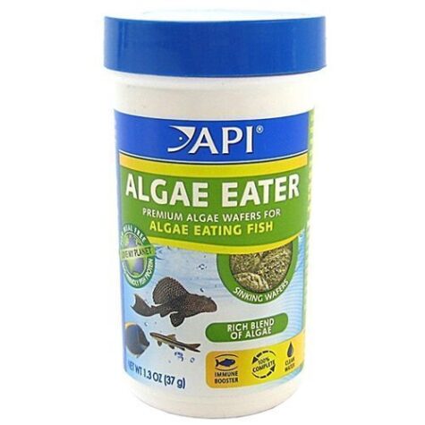 API Algae Eater Premium Algae Wafers