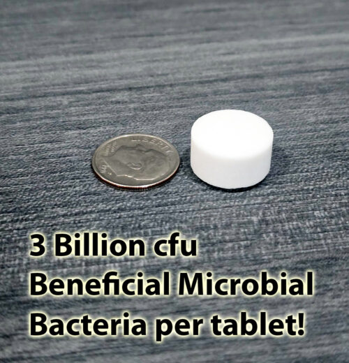 Beneficial Bacteria - AzGardens Aquarium & Trough Water Clarifier Tabs - Image 6