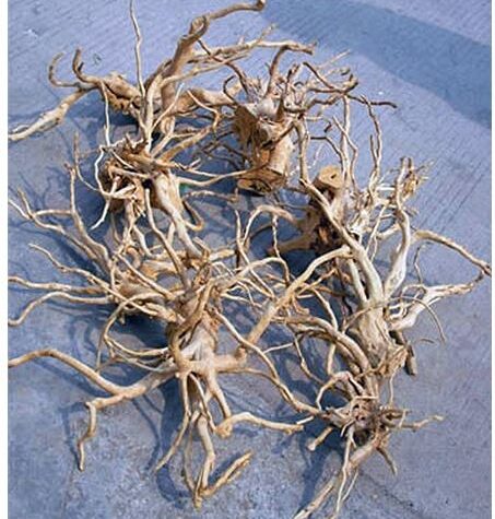 Chinese Azalea Root Spider Wood Driftwood