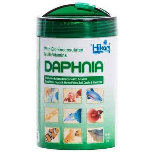 Hikari Freeze Dried Daphnia