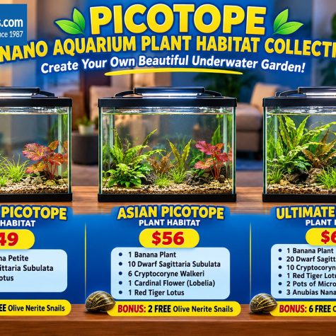 Picotope Nano Aquarium Plant Habitat Collection