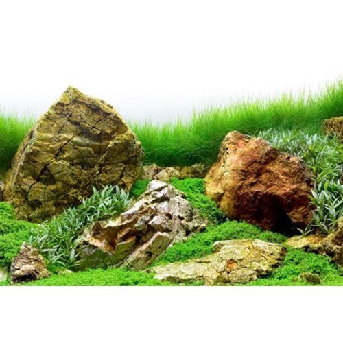 River Rock Double-Sided SeaView Tank Background