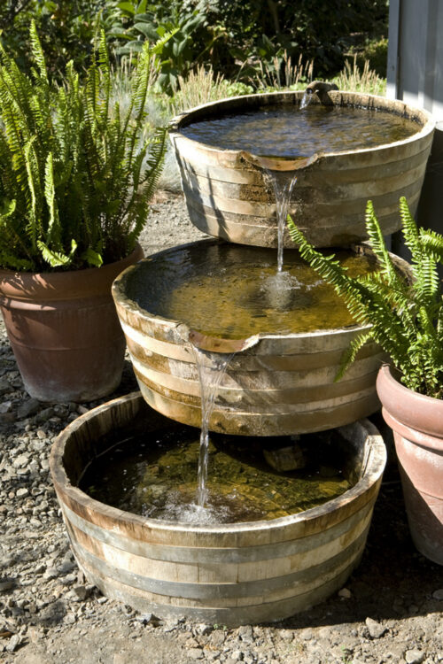 Whiskey Barrel or Small Patio Water Garden Package - Image 2