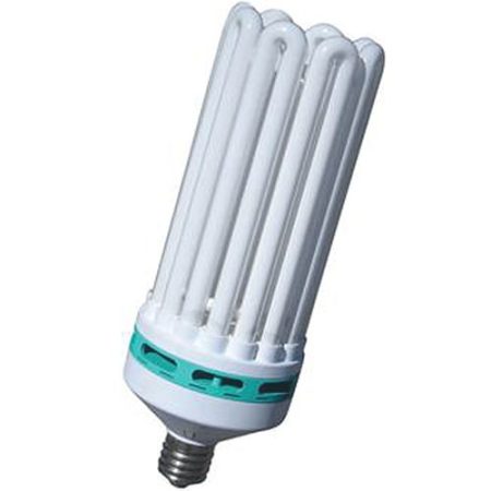 Feliz Power Compact Fluorescent Bulbs