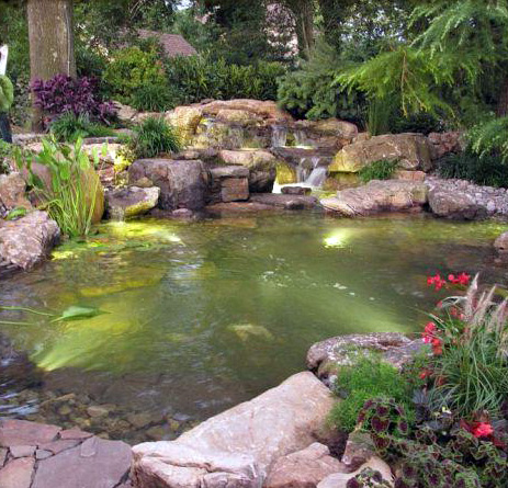 Pond Supplies & Accessories for Sale - Arizona Aquatic Gardens