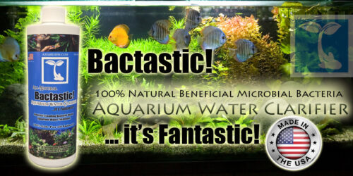 Beneficial Bacteria - AzGardens Bactastic Aquarium Water Clarifier - Image 2