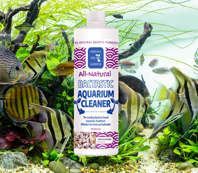 Bactastic All-Natural Beneficial Bacteria Aquarium Cleaner