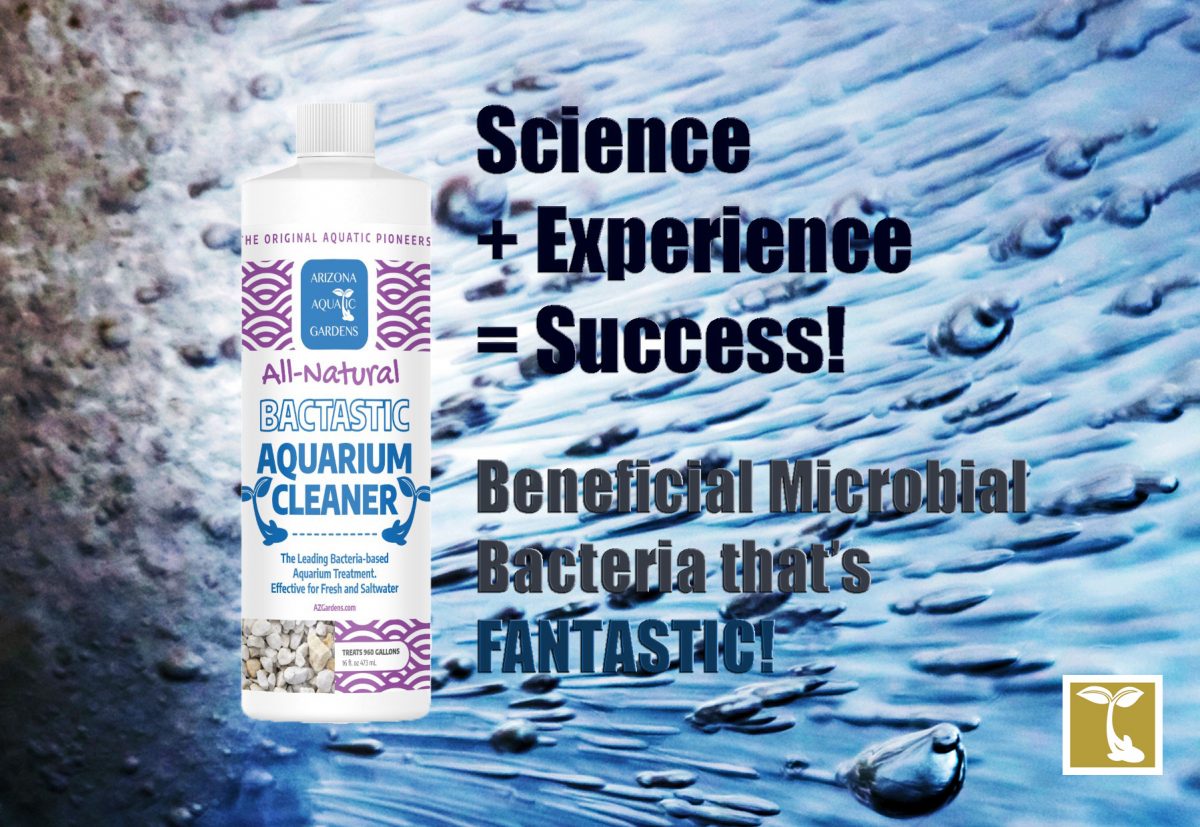 Bactastic AllNatural Beneficial Bacteria Aquarium Cleaner AzGardens