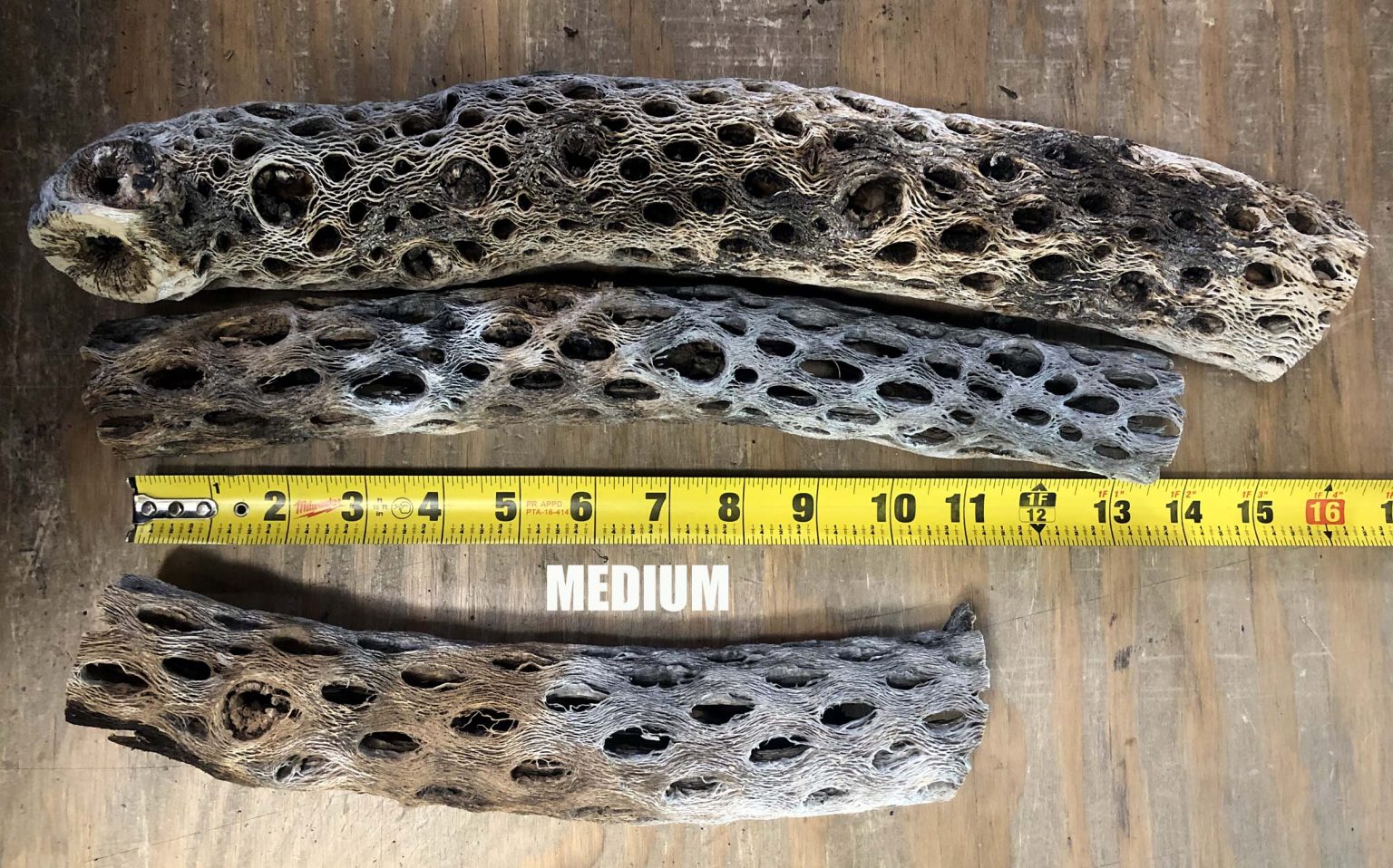 4+ Pounds Of Natural Cholla Wood Cactus Cutoffs - For Aquariums, Crafts, Decor
