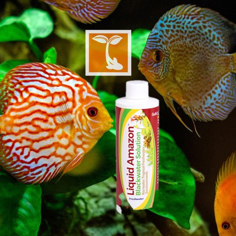 Blackwater Extract - CaribSea Liquid Amazon Blackwater Solution