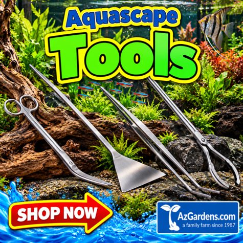 Aquascaping Tools