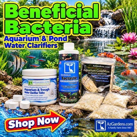 Beneficial Microbial Bacteria